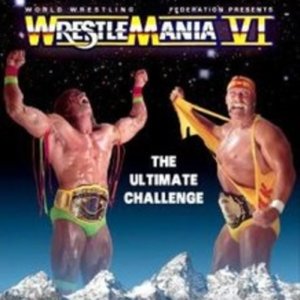 Hulk-Hogan-Vs-Brock-Lesnar-AWl146