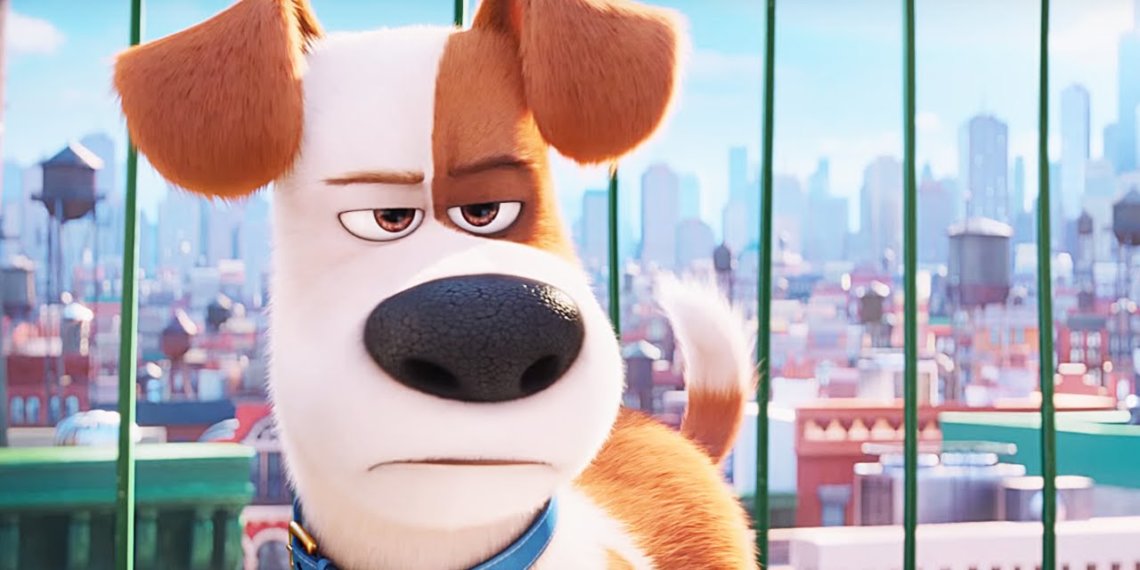 The Secret Life of Pets 3 Release Date, Cast, Trailer, Poll & More!