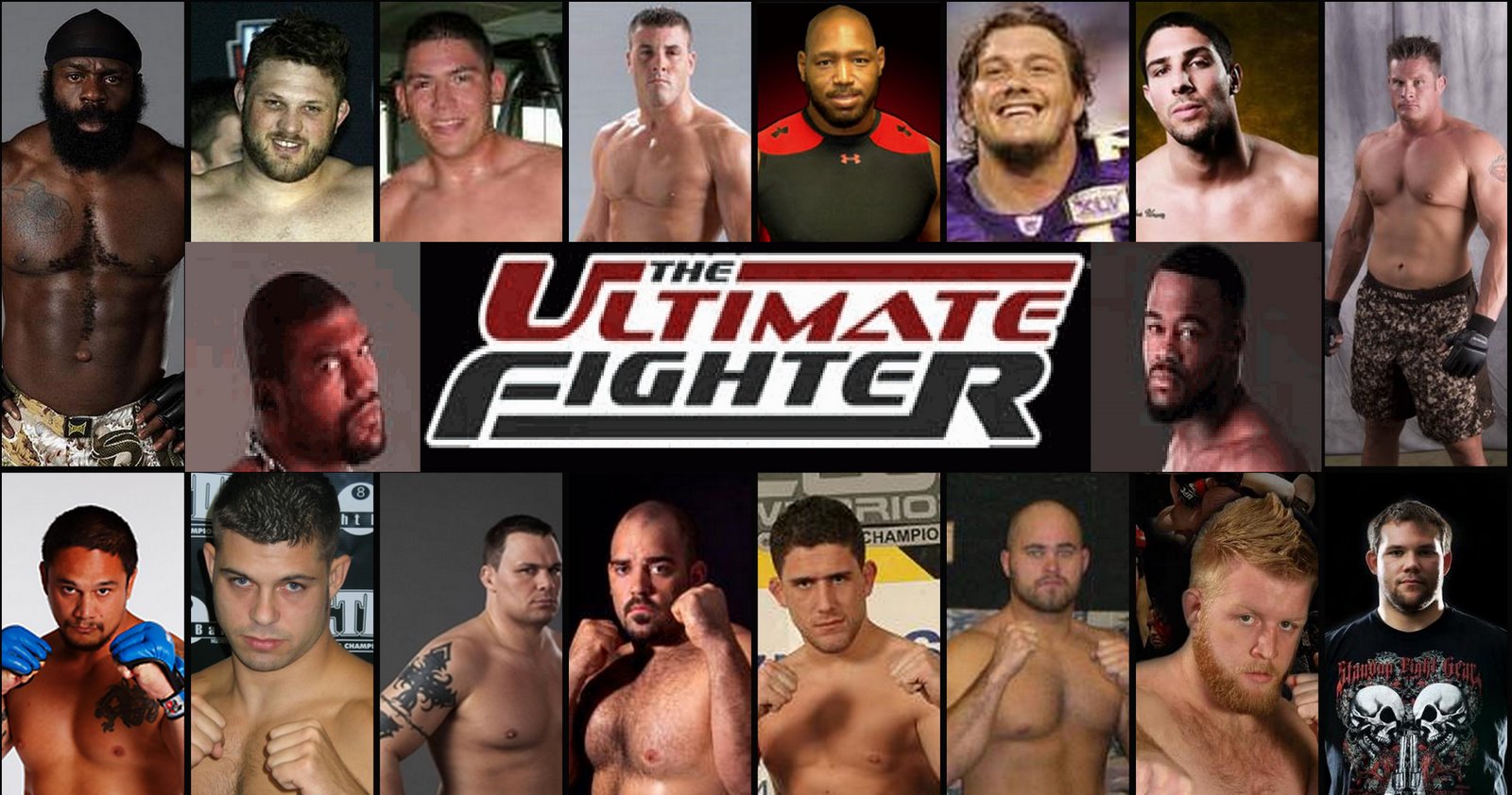 The Ultimate Fighter Season 10 Heavyweights (the one with Kimbo Slice